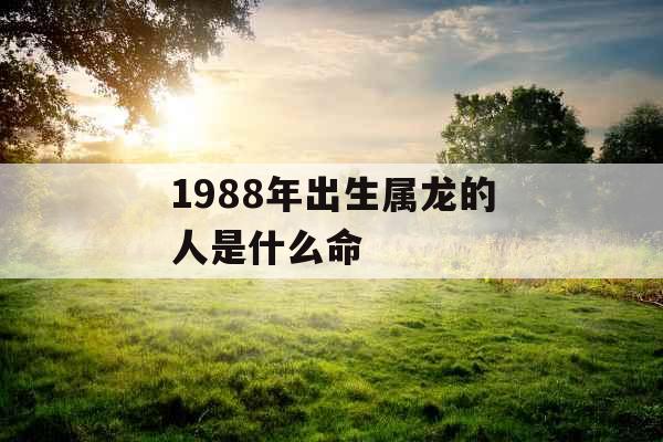 1988年出生属龙的人是什么命