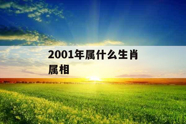 2001年属什么生肖属相