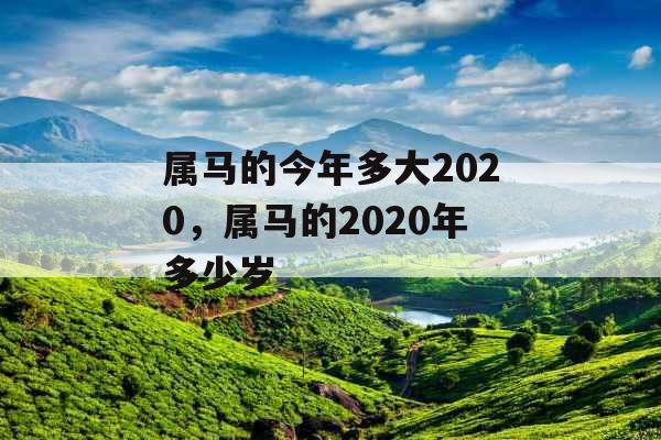 属马的今年多大2020，属马的2020年多少岁
