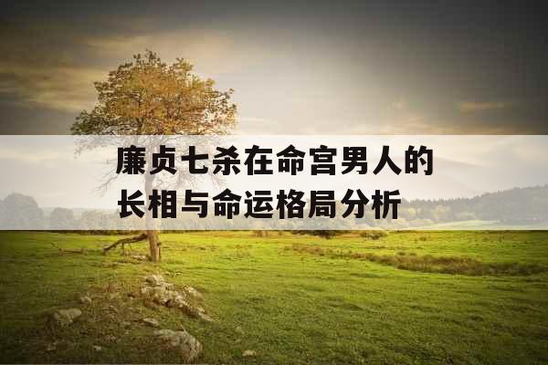 廉贞七杀在命宫男人的长相与命运格局分析