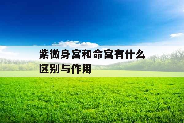 紫微身宫和命宫有什么区别与作用