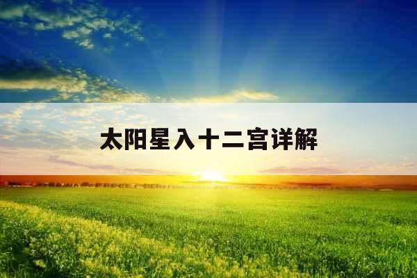 太阳星入十二宫详解