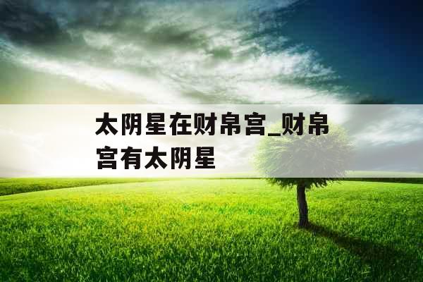 太阴星在财帛宫_财帛宫有太阴星 太阴星在财帛宫_财帛宫有太阴星