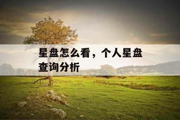 星盘怎么看，个人星盘查询分析