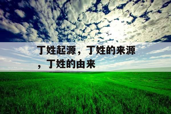 丁姓起源，丁姓的来源，丁姓的由来