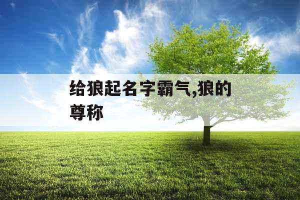 给狼起名字霸气,狼的尊称