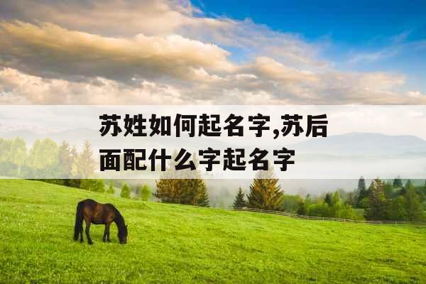 苏姓如何起名字,苏后面配什么字起名字