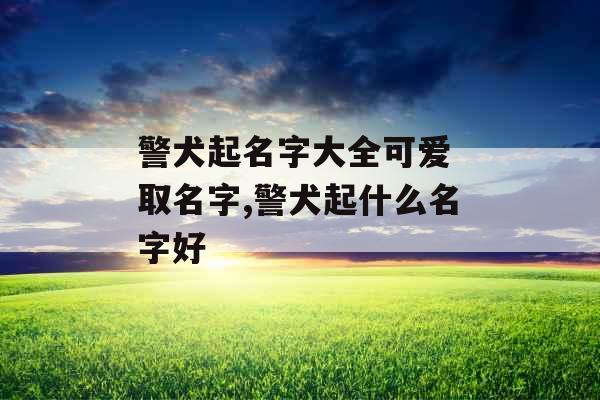 警犬起名字大全可爱 取名字,警犬起什么名字好