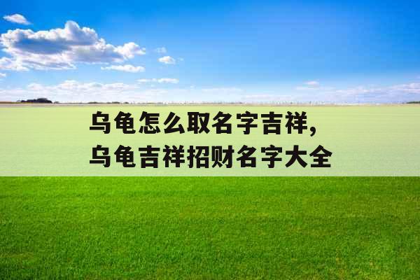 乌龟怎么取名字吉祥,乌龟吉祥招财名字大全