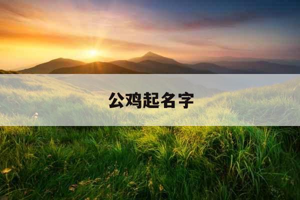 公鸡起名字