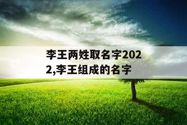 李王两姓取名字2022,李王组成的名字