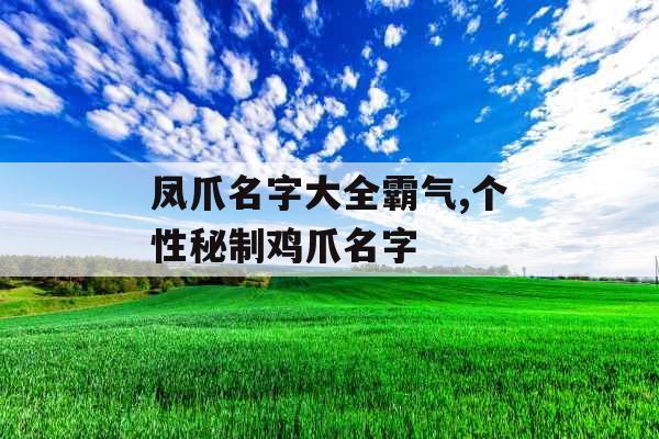 凤爪名字大全霸气,个性秘制鸡爪名字