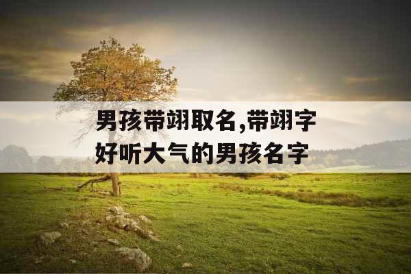 男孩带翊取名,带翊字好听大气的男孩名字