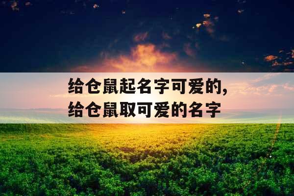 给仓鼠起名字可爱的,给仓鼠取可爱的名字