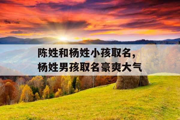 陈姓和杨姓小孩取名,杨姓男孩取名豪爽大气