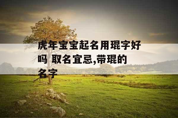 虎年宝宝起名用琨字好吗 取名宜忌,带琨的名字