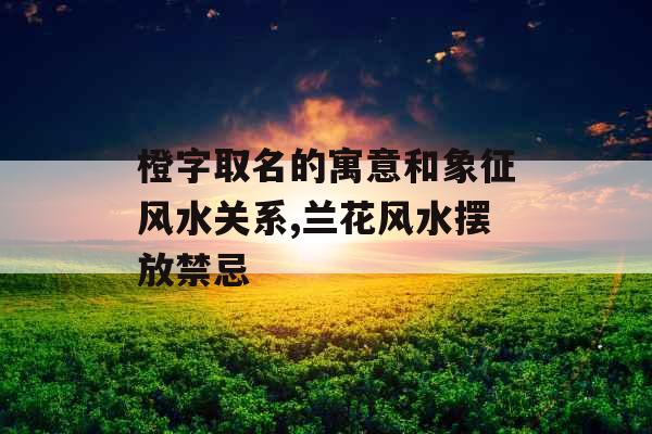 橙字取名的寓意和象征风水关系,兰花风水摆放禁忌