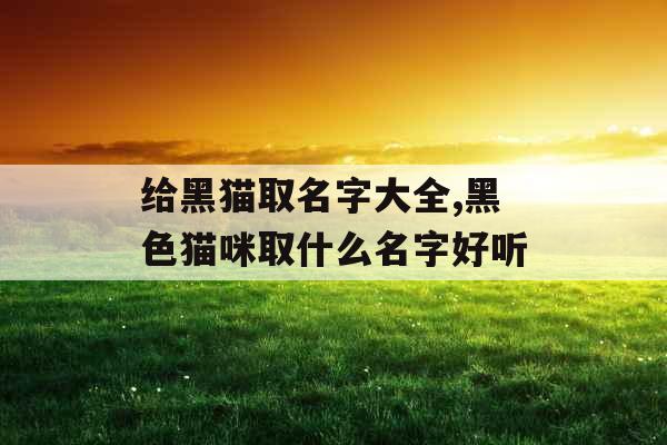 给黑猫取名字大全,黑色猫咪取什么名字好听 给黑猫取名字大全,黑色猫咪取什么名字好听