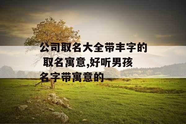 公司取名大全带丰字的 取名寓意,好听男孩名字带寓意的