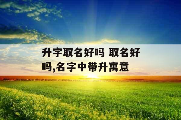 升字取名好吗 取名好吗,名字中带升寓意