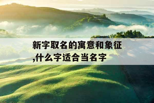 新字取名的寓意和象征,什么字适合当名字