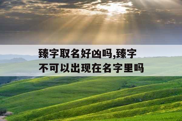 臻字取名好凶吗,臻字不可以出现在名字里吗