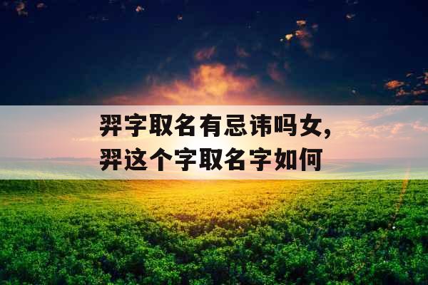 羿字取名有忌讳吗女,羿这个字取名字如何