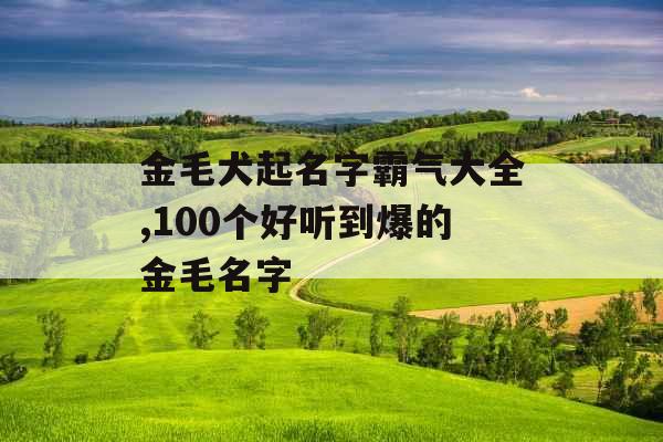金毛犬起名字霸气大全,100个好听到爆的金毛名字
