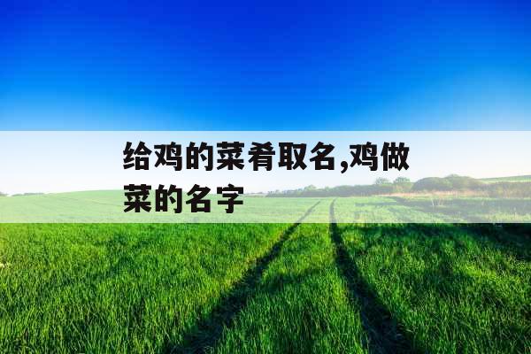 给鸡的菜肴取名,鸡做菜的名字