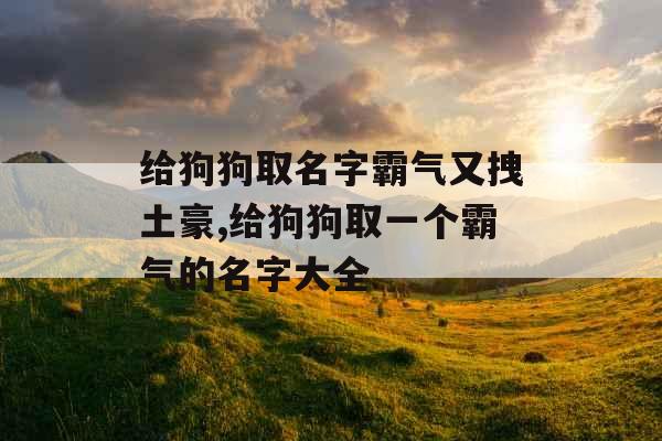 给狗狗取名字霸气又拽土豪,给狗狗取一个霸气的名字大全 给狗狗取名字霸气又拽土豪,给狗狗取一个霸气的名字大全
