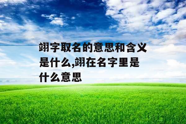 翊字取名的意思和含义是什么,翊在名字里是什么意思 翊字取名的意思和含义是什么,翊在名字里是什么意思