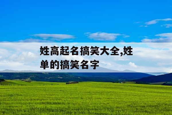 姓高起名搞笑大全,姓单的搞笑名字
