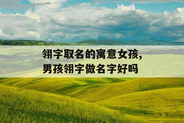 翎字取名的寓意女孩,男孩翎字做名字好吗