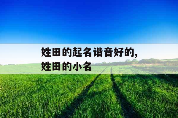 姓田的起名谐音好的,姓田的小名