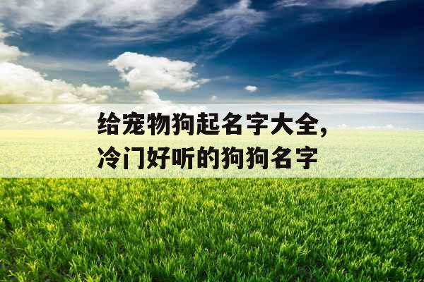 给宠物狗起名字大全,冷门好听的狗狗名字