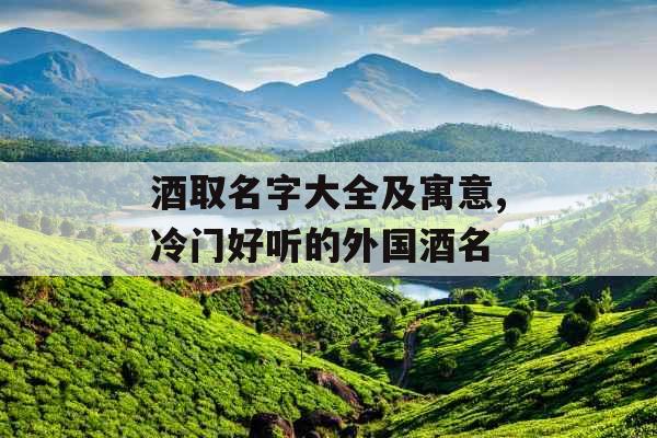 酒取名字大全及寓意,冷门好听的外国酒名