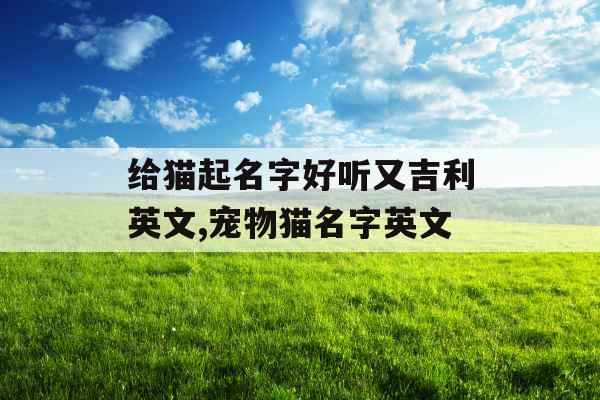 给猫起名字好听又吉利英文,宠物猫名字英文