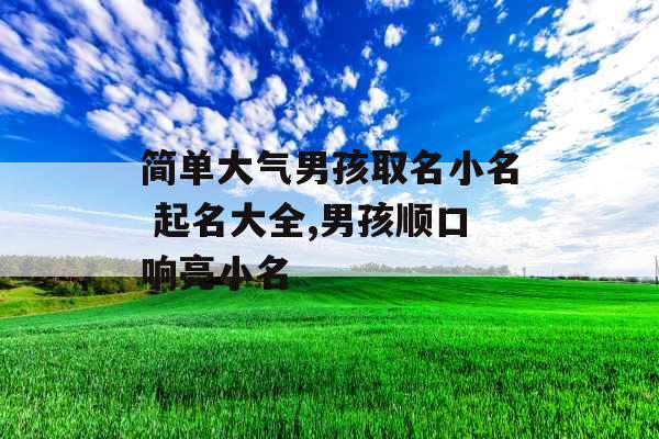 简单大气男孩取名小名 起名大全,男孩顺口响亮小名