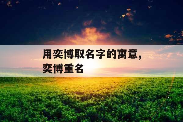 用奕博取名字的寓意,奕博重名