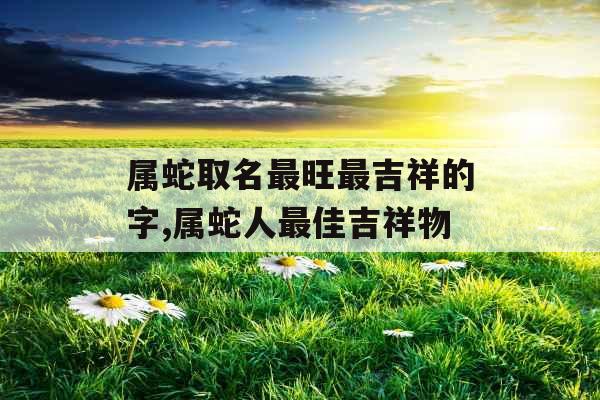 属蛇取名最旺最吉祥的字,属蛇人最佳吉祥物