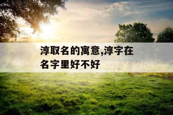 淳取名的寓意,淳字在名字里好不好