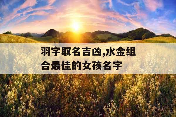 羽字取名吉凶,水金组合最佳的女孩名字