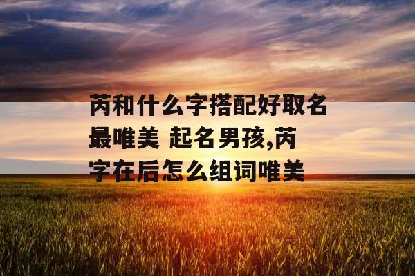 芮和什么字搭配好取名最唯美 起名男孩,芮字在后怎么组词唯美 芮和什么字搭配好取名最唯美 起名男孩,芮字在后怎么组词唯美