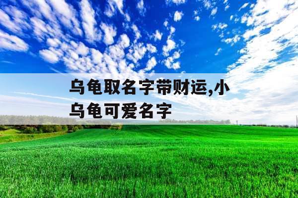 乌龟取名字带财运,小乌龟可爱名字