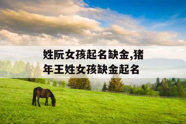 姓阮女孩起名缺金,猪年王姓女孩缺金起名