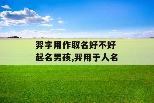 羿字用作取名好不好 起名男孩,羿用于人名
