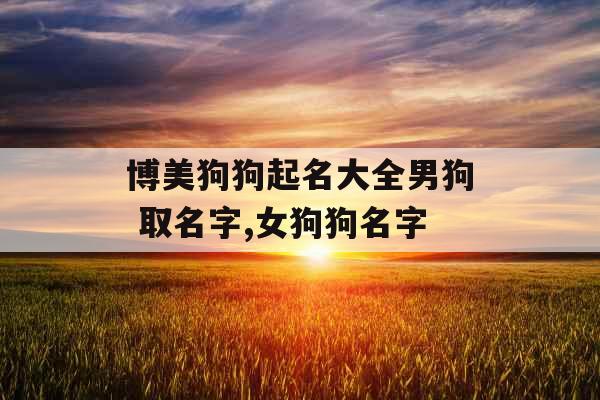 博美狗狗起名大全男狗 取名字,女狗狗名字