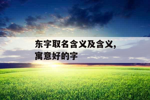 东字取名含义及含义,寓意好的字