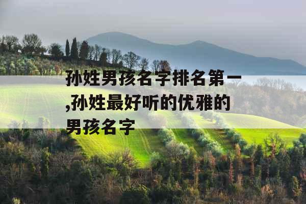 孙姓男孩名字排名第一,孙姓最好听的优雅的男孩名字