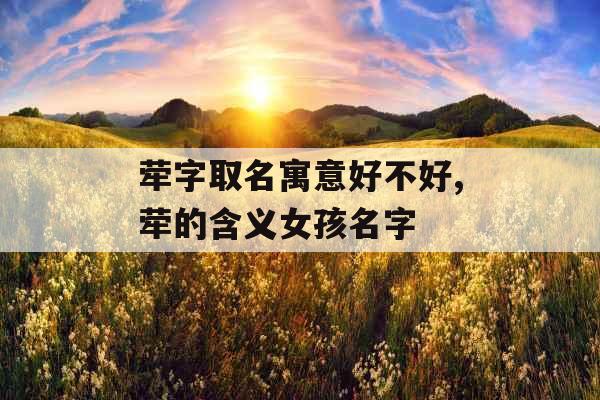 荦字取名寓意好不好,荦的含义女孩名字